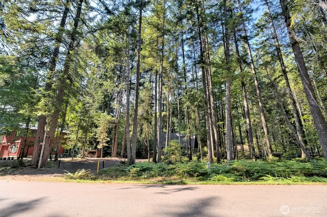 a backyard of a house with trees and plants