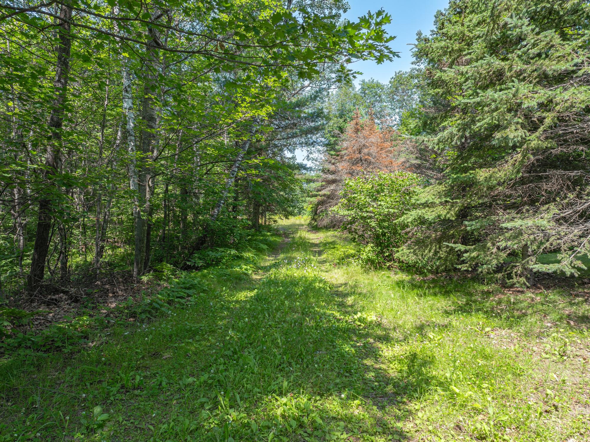 7661 Emerson Road Lake Tomahawk, WI 54539 - Photo 3 of 22 Gallery Image 3