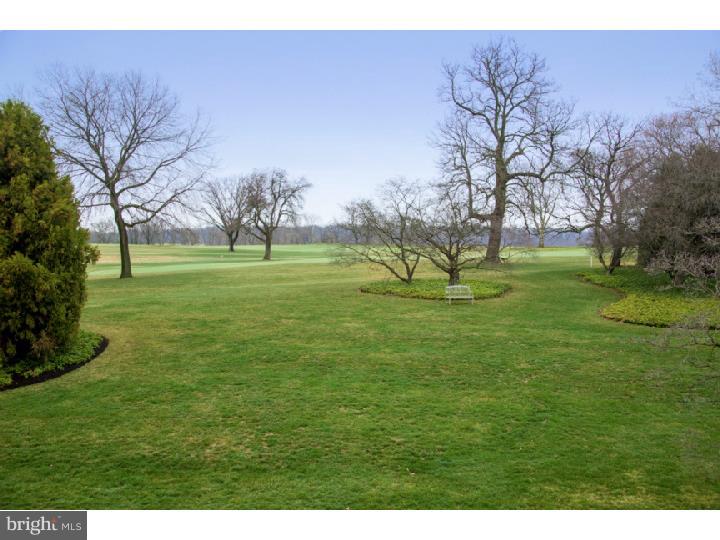 6009 Cricket Road Flourtown, PA 19031 - Photo 17 of 17 View in Back