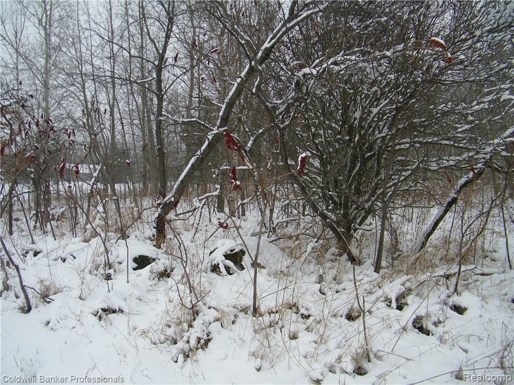 Par E Schlaud Road North Branch, MI 48461 - Photo 4 of 6 Gallery Image 4