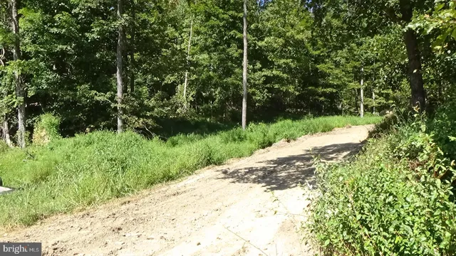 a view of a yard with plants and a small yard
