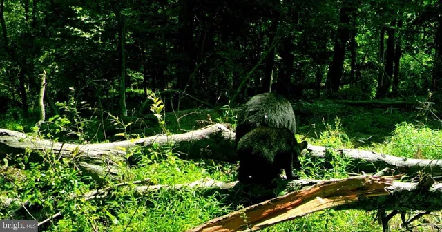 $235,000 | Lot # Veterans Way, Elliottsburg, PA 17024