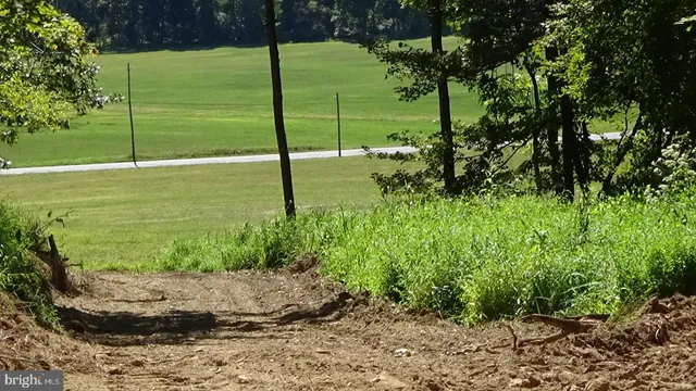 a view of a garden with an empty space