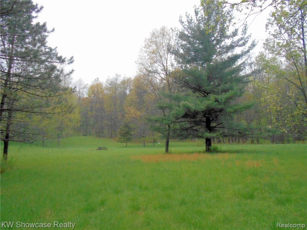 5464 Blood Road Metamora, MI 48455 - Photo 6 of 14