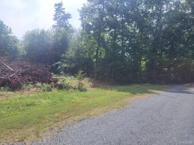 a view of a yard with a tree
