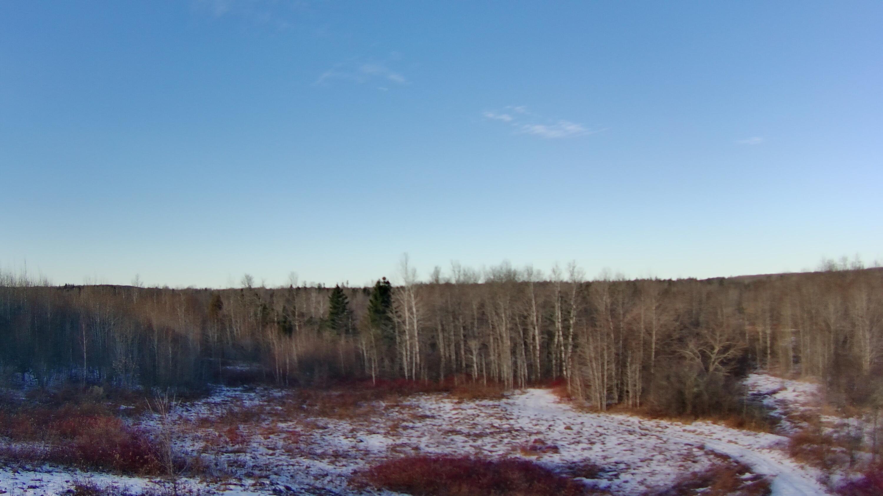 Map3-lot19 Hare Road Monticello, ME 04760 - Photo 13 of 20 20221202-134930