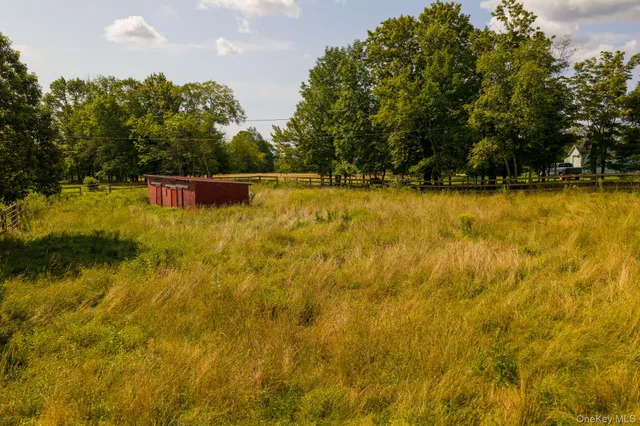 a view of a swimming pool with a yard