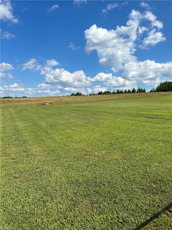 0 Gravel Hill Road Ruffin, NC 27326 - Photo 3 of 9