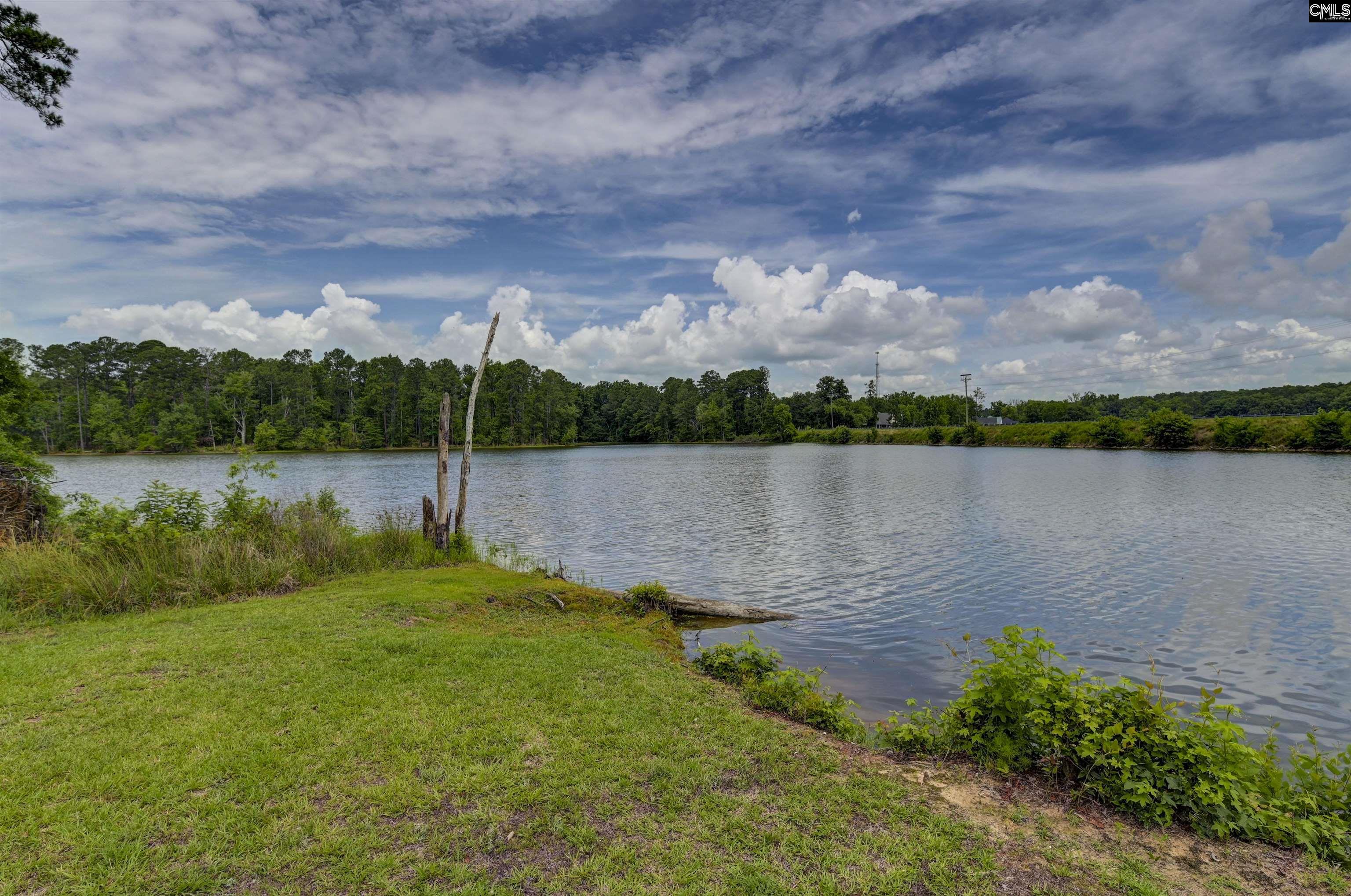 1257 Tailers Trail Prosperity, SC 29127 - Photo 15 of 51