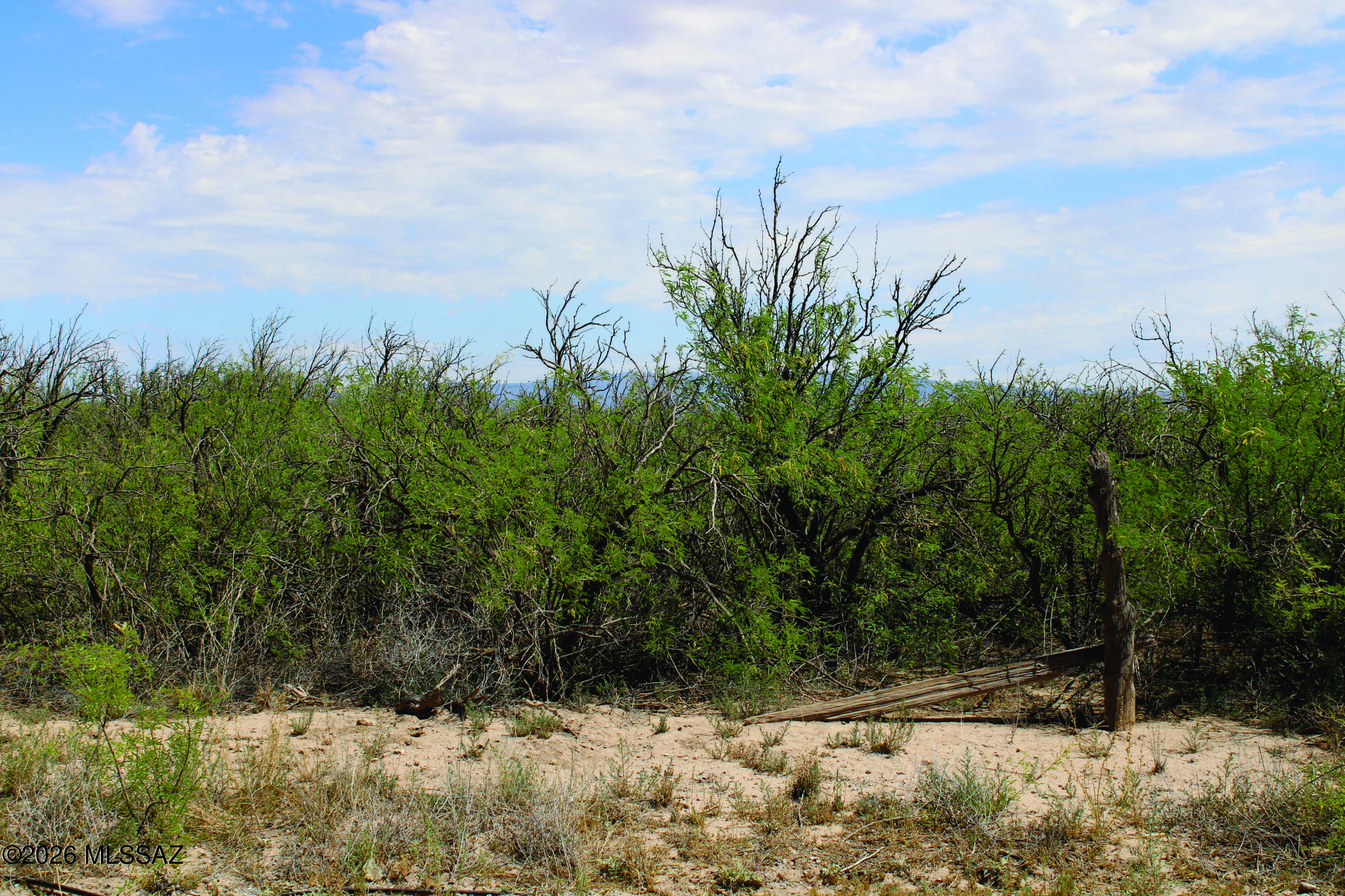 17.87-acre West Saguaro Road Willcox, AZ 85643 - Photo 23 of 23 IMG_1815.JPG