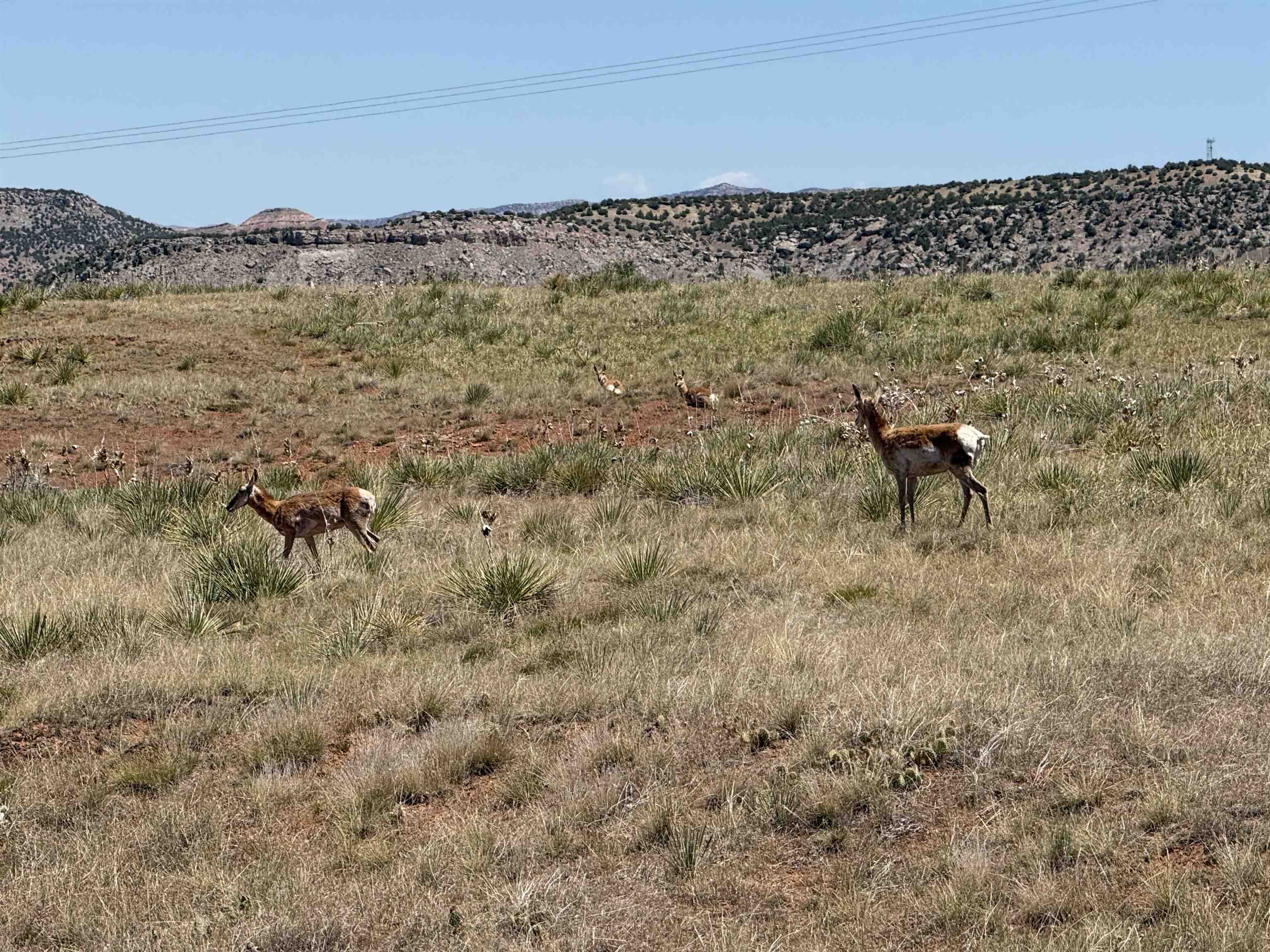 Lot 31 Red Rim Ranch Thermopolis, WY 82443 - Photo 2 of 11