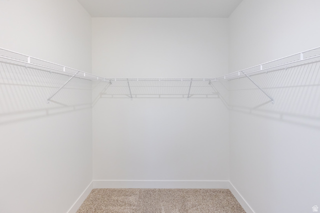 693 West 4500th South, Unit O302 Mapleton, UT 84664 - Photo 8 of 16 Walk in closet featuring light colored carpet
