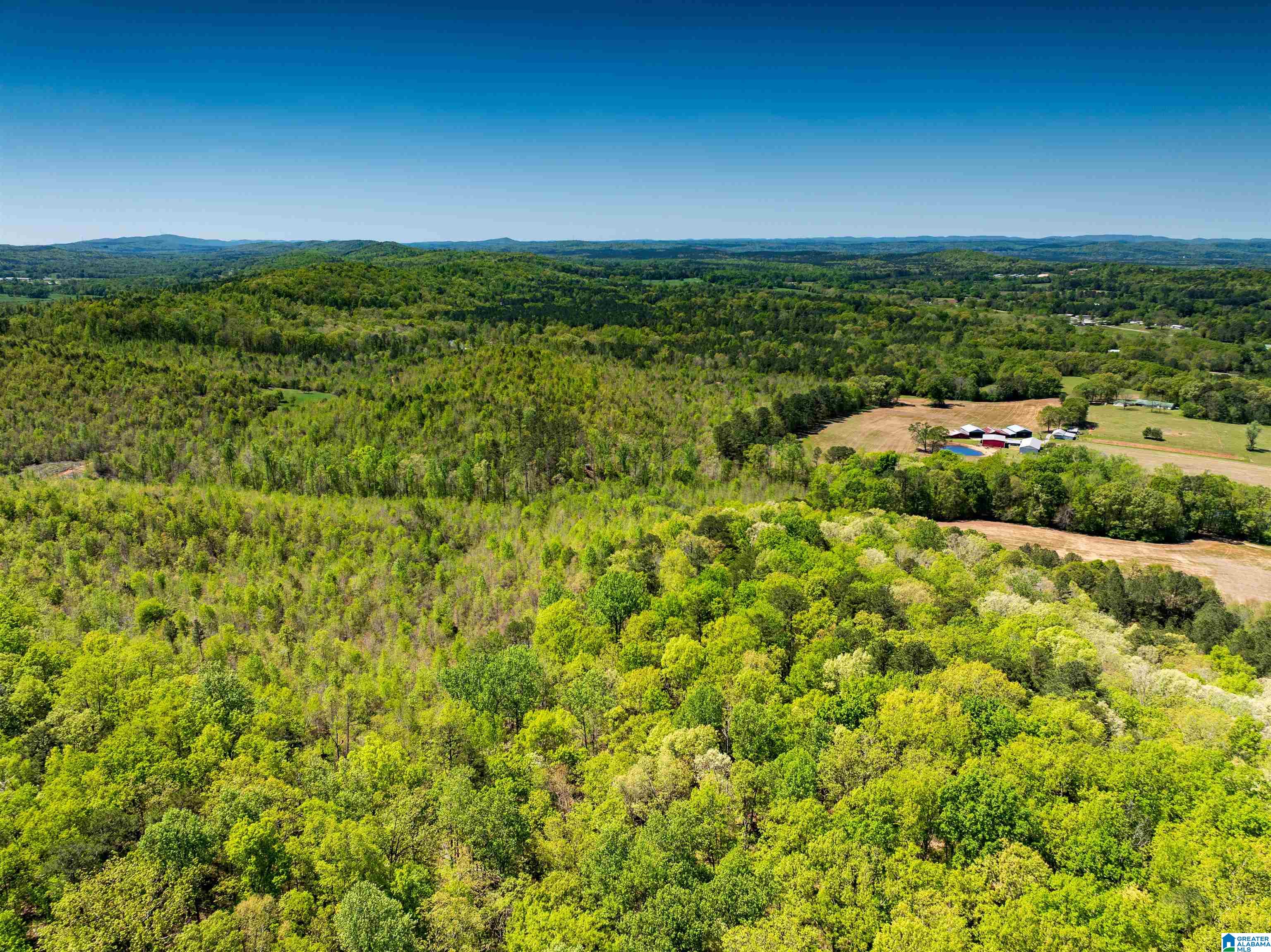 0 Pike Hill Road Ashville, AL 35953 - Photo 11 of 22