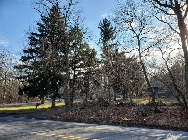 a view of a yard with large trees