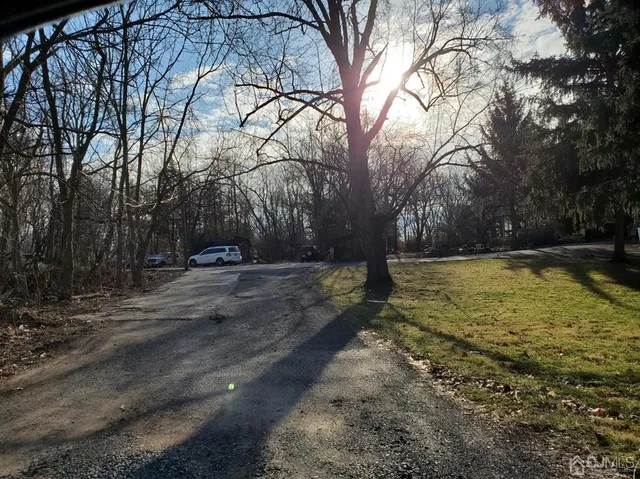 a view of yard with trees