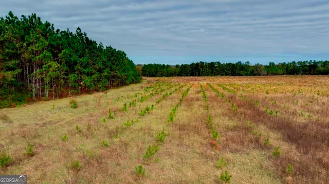 a view of swimming pool and mountain in back
