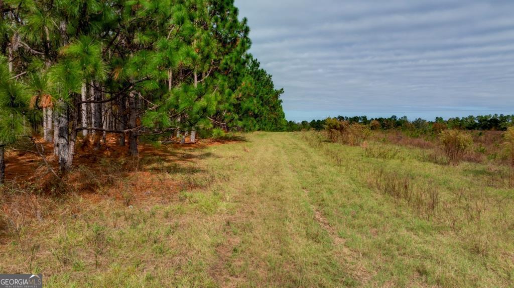 0 Bethel Road, Unit TRACT 8 Sylvania, GA 30467 - Photo 12 of 13 a backyard of a house with lots of green space