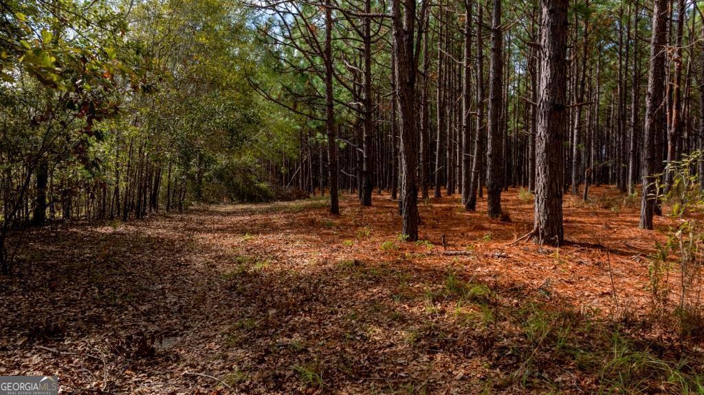 0 Bethel Road, Unit TRACT 8 Sylvania, GA 30467 - Photo 13 of 13 a view of park with trees