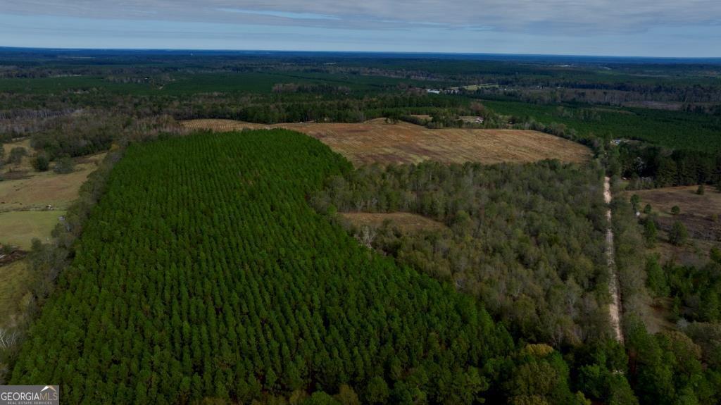 0 Bethel Road, Unit TRACT 8 Sylvania, GA 30467 - Photo 2 of 13 a view of outdoor space and yard