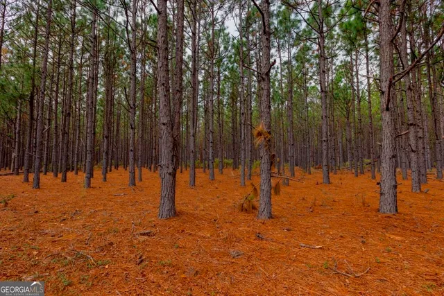 a view of outdoor space with trees