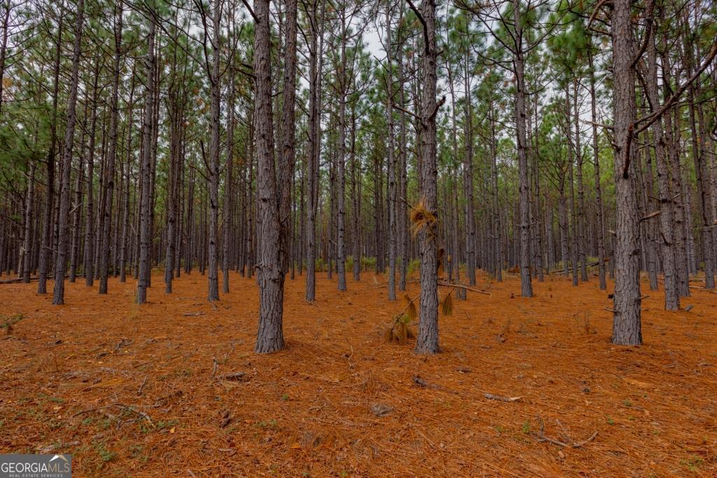 0 Bethel Road, Unit TRACT 8 Sylvania, GA 30467 - Photo 5 of 13 a view of outdoor space with trees