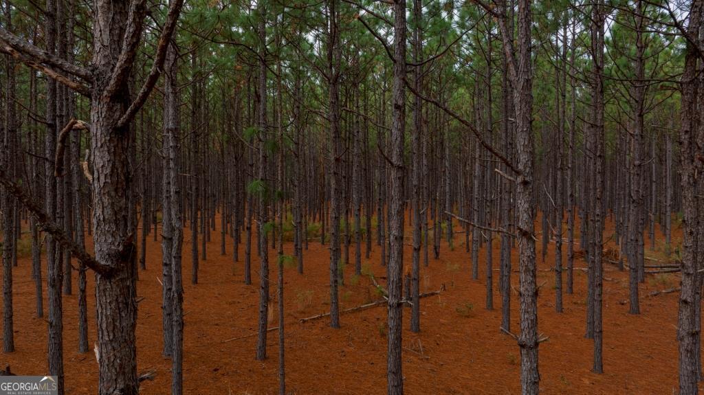 0 Bethel Road, Unit TRACT 8 Sylvania, GA 30467 - Photo 6 of 13 a view of outdoor space and yard