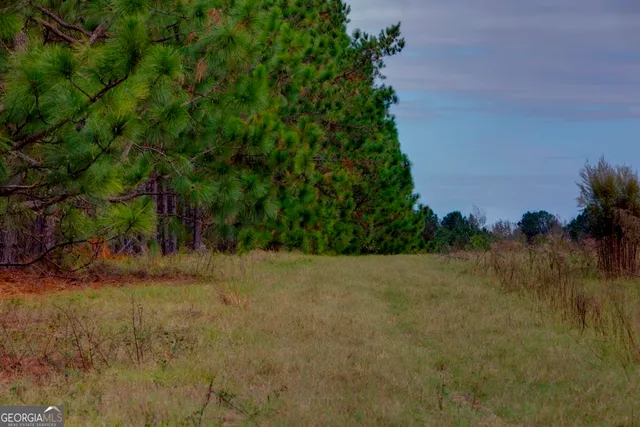 a view of a yard with a tree