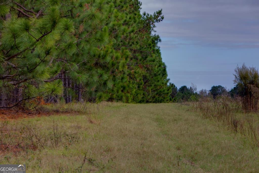 0 Bethel Road, Unit TRACT 8 Sylvania, GA 30467 - Photo 7 of 13 a view of a yard with a tree