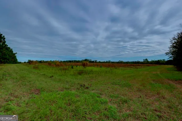 a view of a field with grass and trees