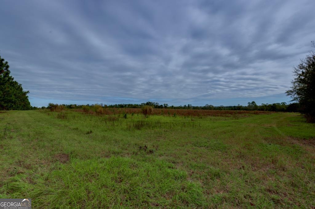 0 Bethel Road, Unit TRACT 8 Sylvania, GA 30467 - Photo 8 of 13 a view of a field with grass and trees