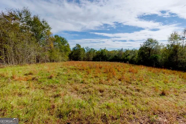 a view of open pool with a yard