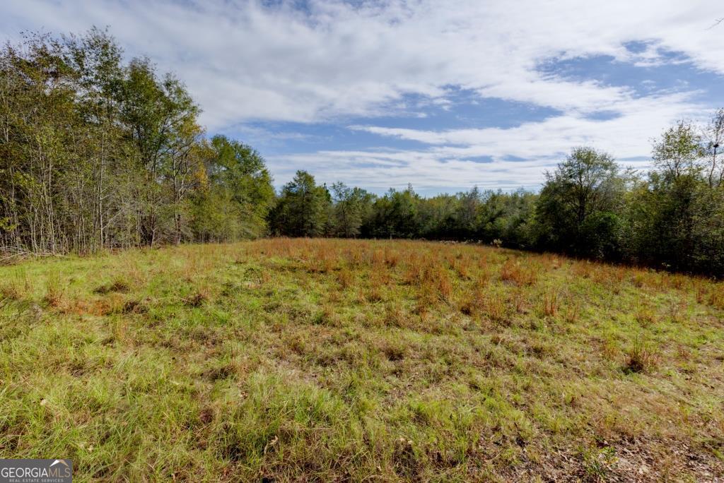 0 Bethel Road, Unit TRACT 8 Sylvania, GA 30467 - Photo 9 of 13 a view of open pool with a yard