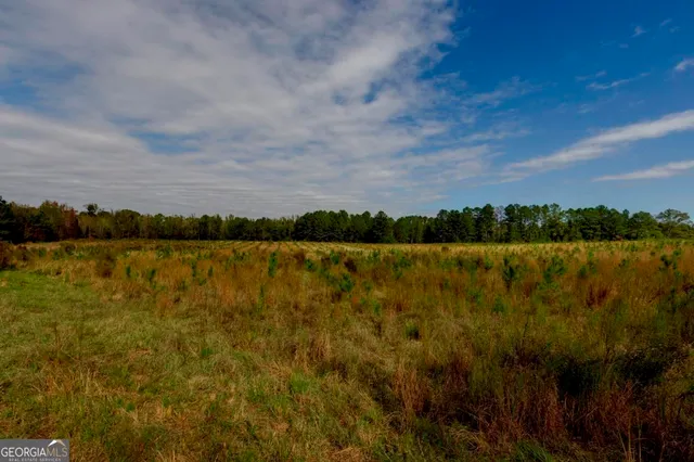 a view of a lake with houses in the background