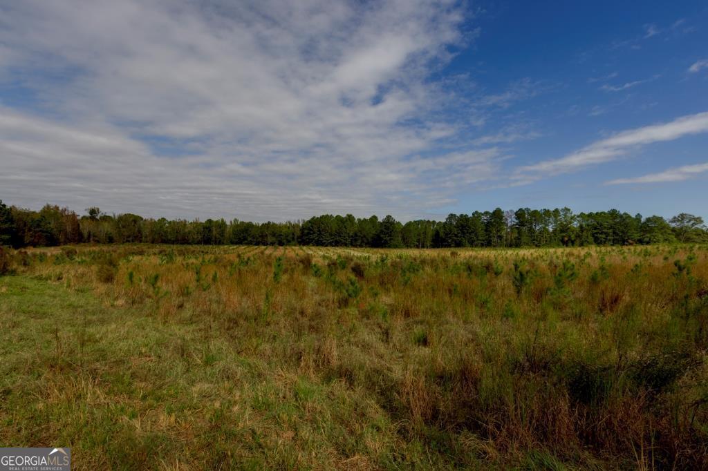 0 Bethel Road, Unit TRACT 8 Sylvania, GA 30467 - Photo 10 of 13 a view of a lake with houses in the background