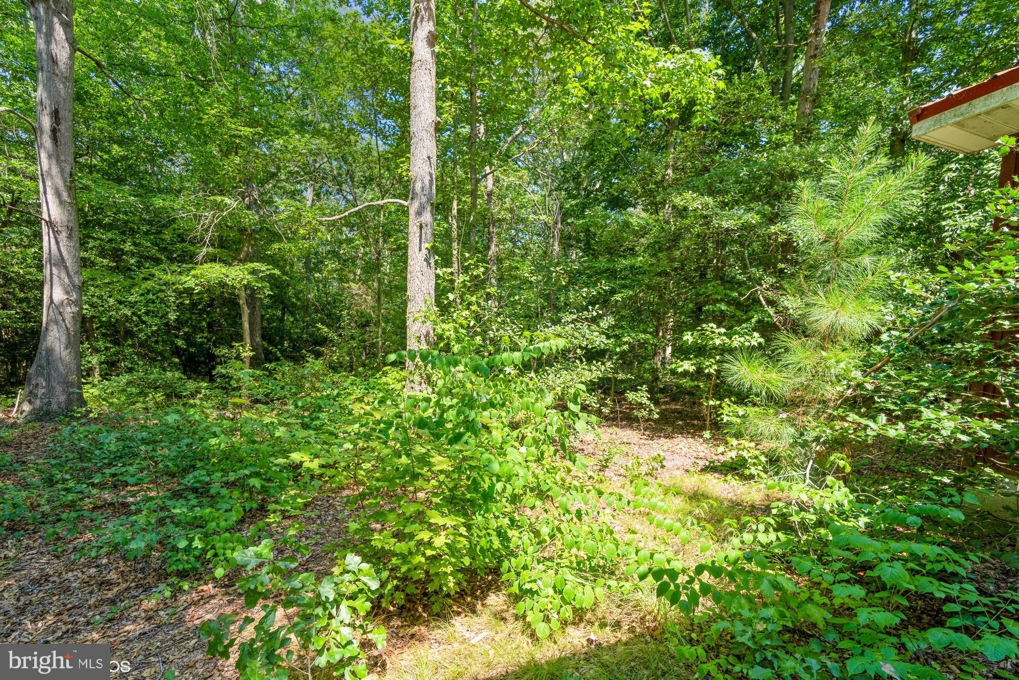 6049 Newton Road Preston, MD 21655 - Photo 29 of 30 Gallery Image 29
