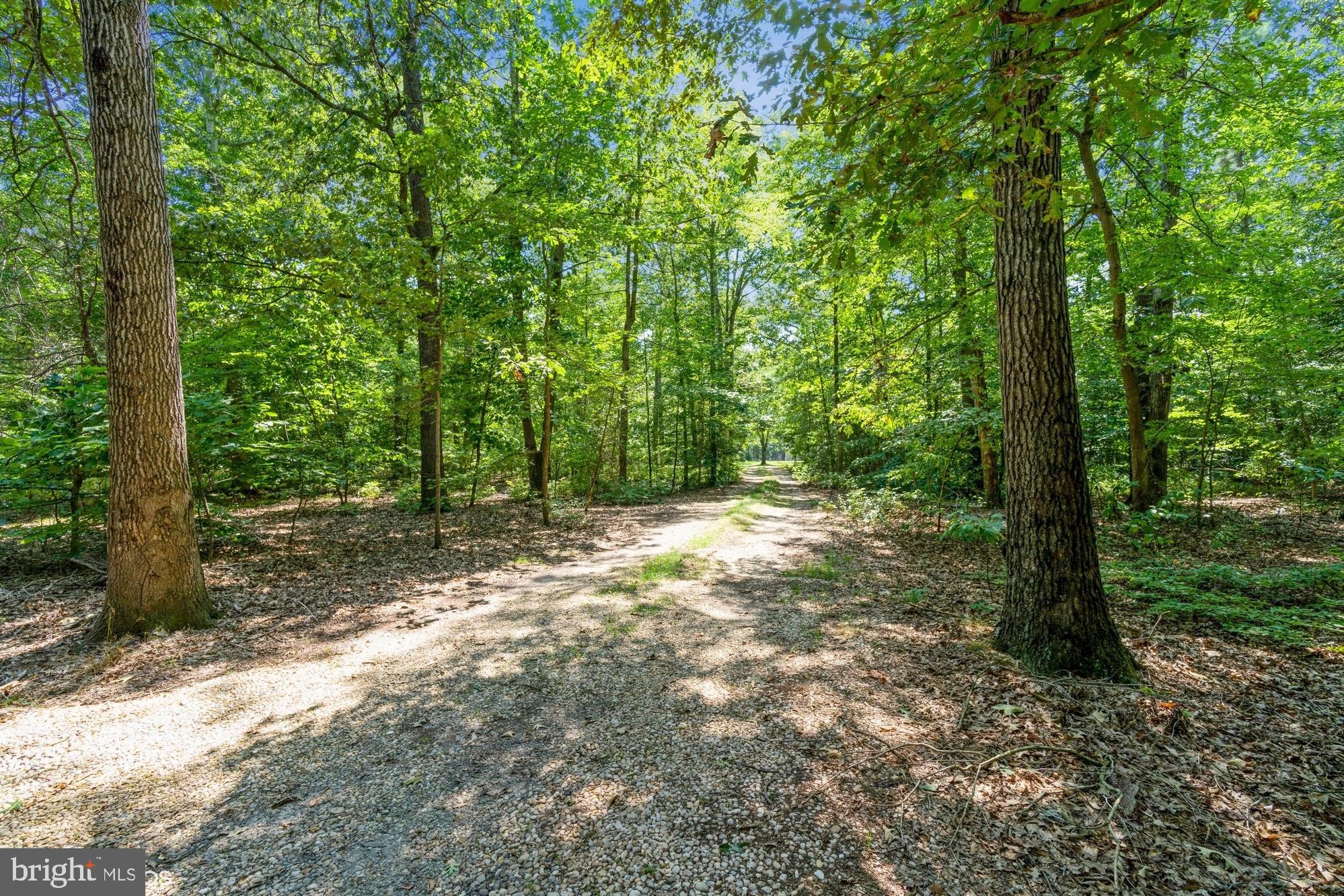 6049 Newton Road Preston, MD 21655 - Photo 30 of 30 Gallery Image 30