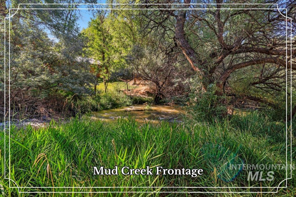1301 Kanaka Rapids Road Buhl, ID 83316 - Photo 48 of 50 Creek frontage with mature trees and dense natural vegetation