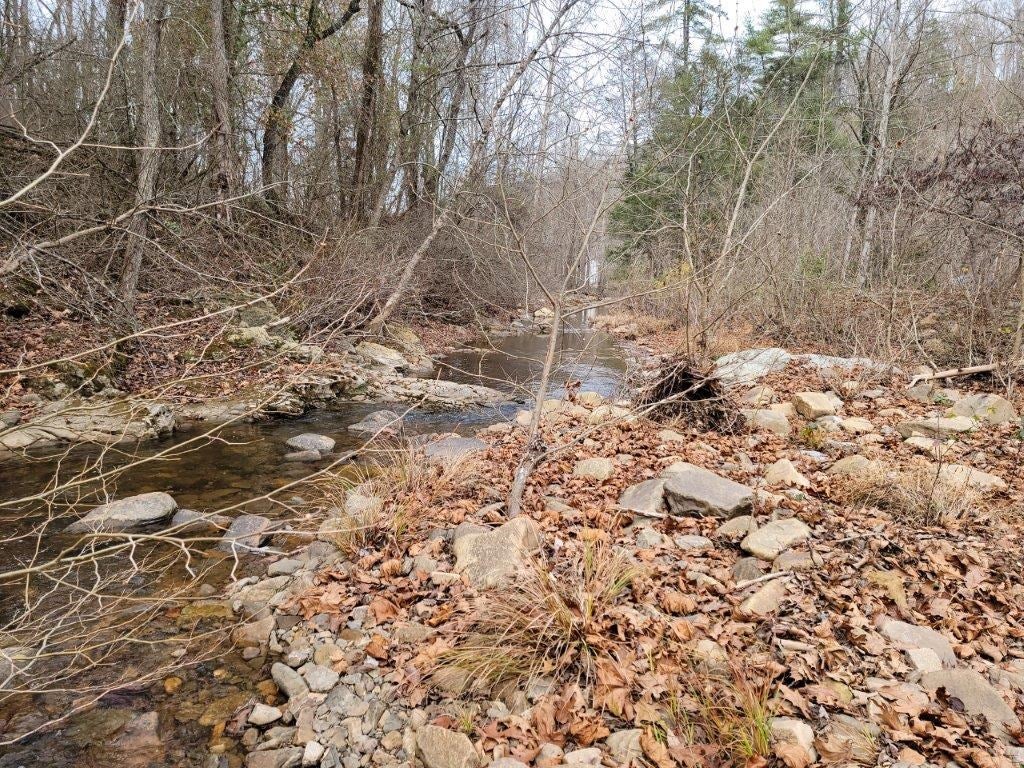2743 Max Creek Road Hiwassee, VA 24347 - Photo 24 of 25 Gallery Image 24