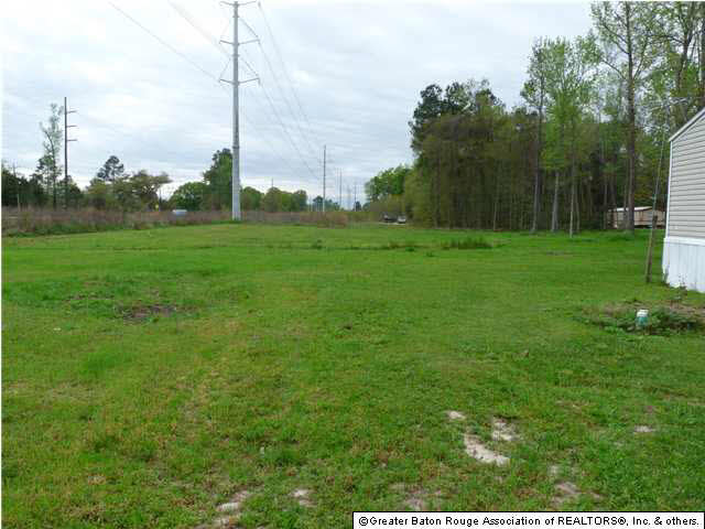 30255 Milton Road Walker, LA 70785 - Photo 4 of 18 Gallery Image 4