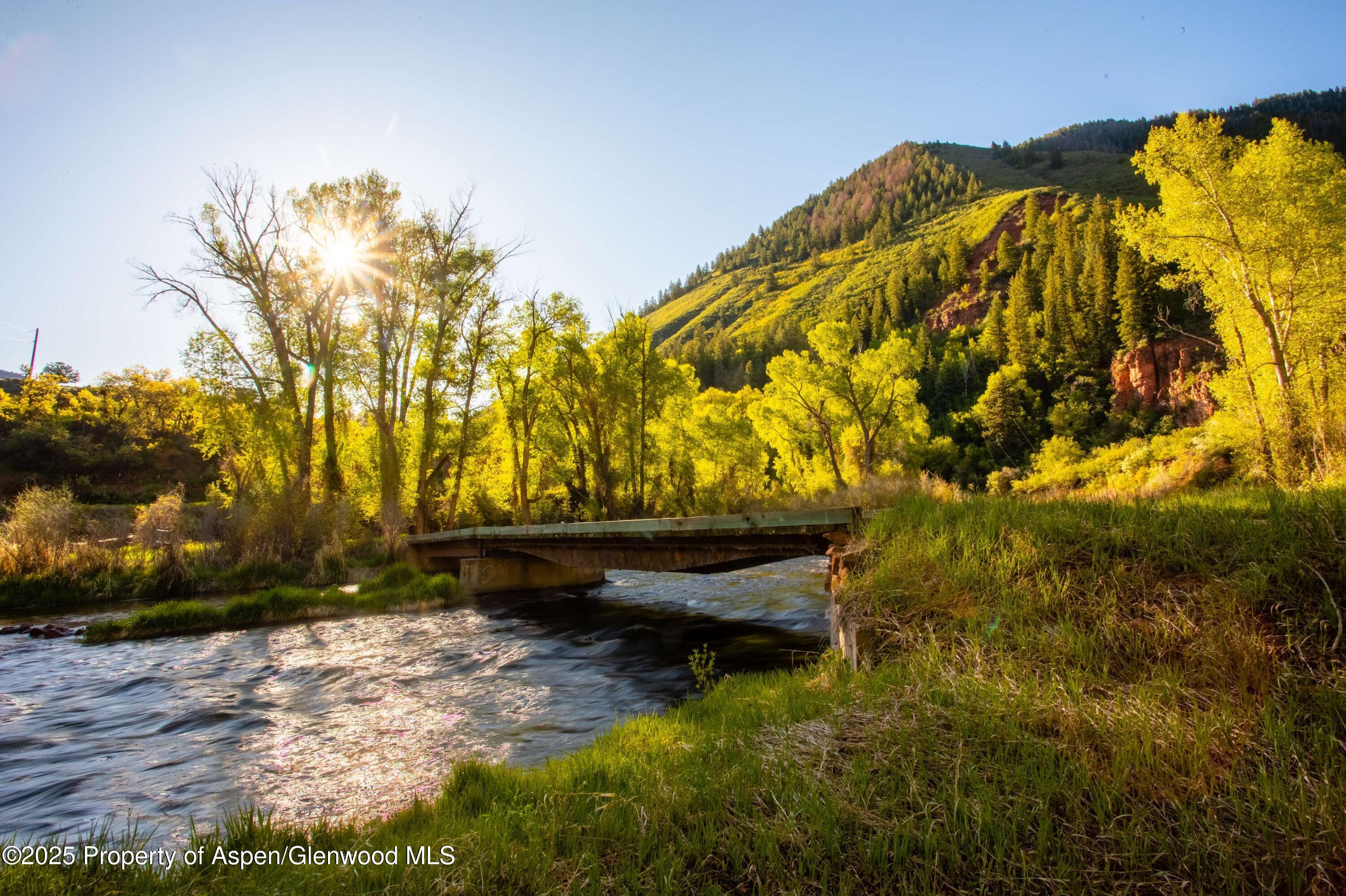 5548 Frying Pan Road Basalt, CO 81621 - Photo 3 of 53 a backyard of a house with lots of green space