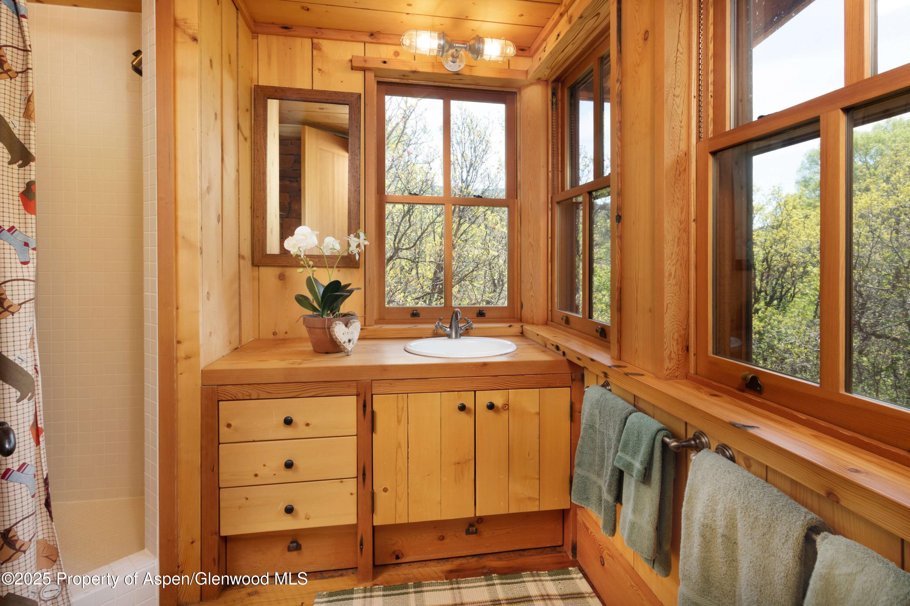 5548 Frying Pan Road Basalt, CO 81621 - Photo 34 of 53 a bathroom with a sink and a mirror
