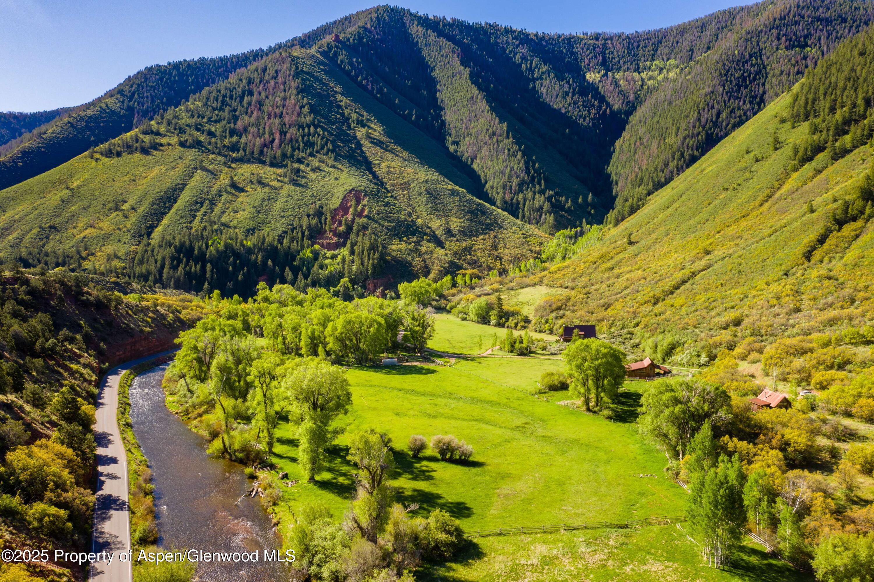 5548 Frying Pan Road Basalt, CO 81621 - Photo 6 of 53 a view of a garden with plants