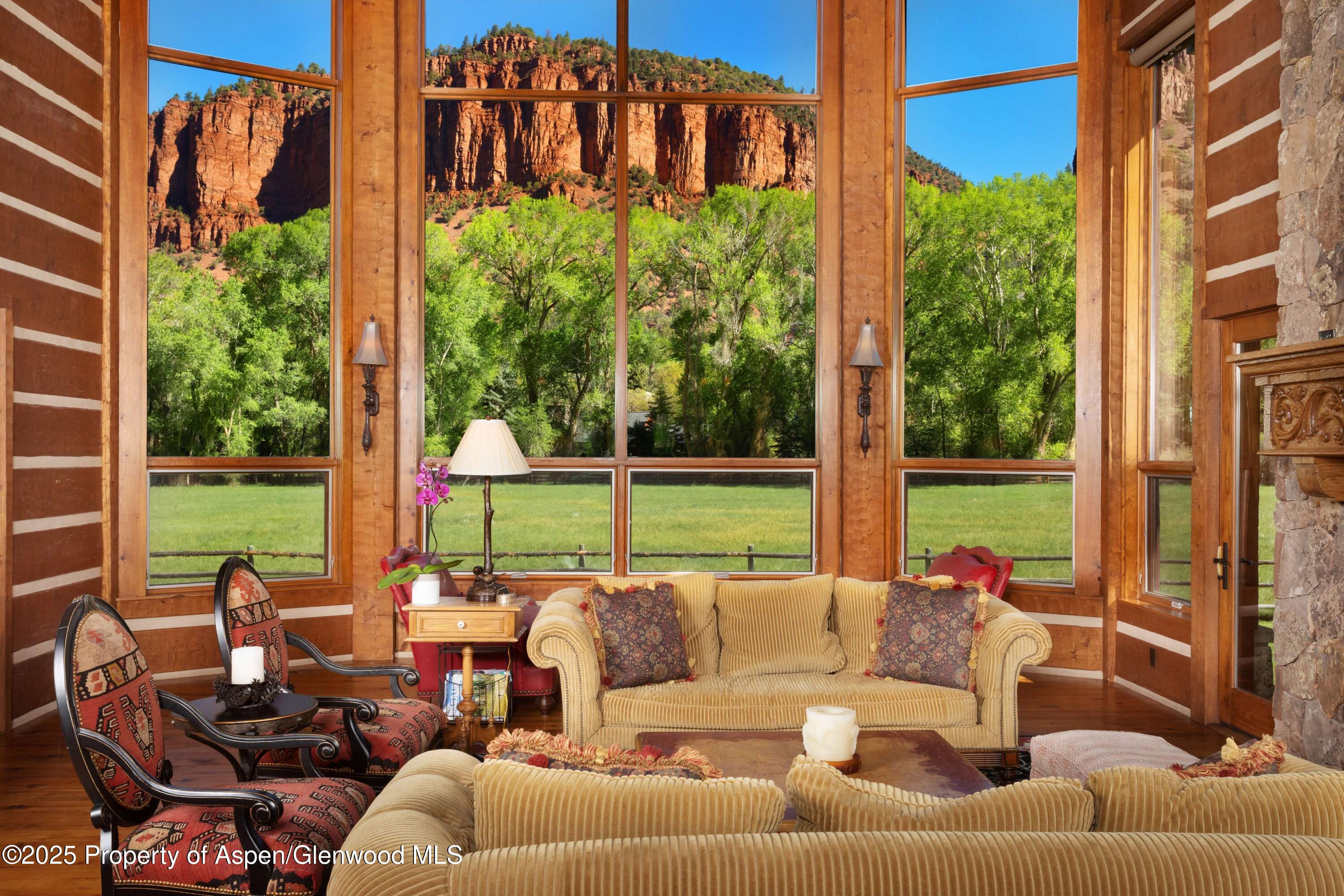 5548 Frying Pan Road Basalt, CO 81621 - Photo 8 of 53 a view of a patio with couches potted plants and a palm tree