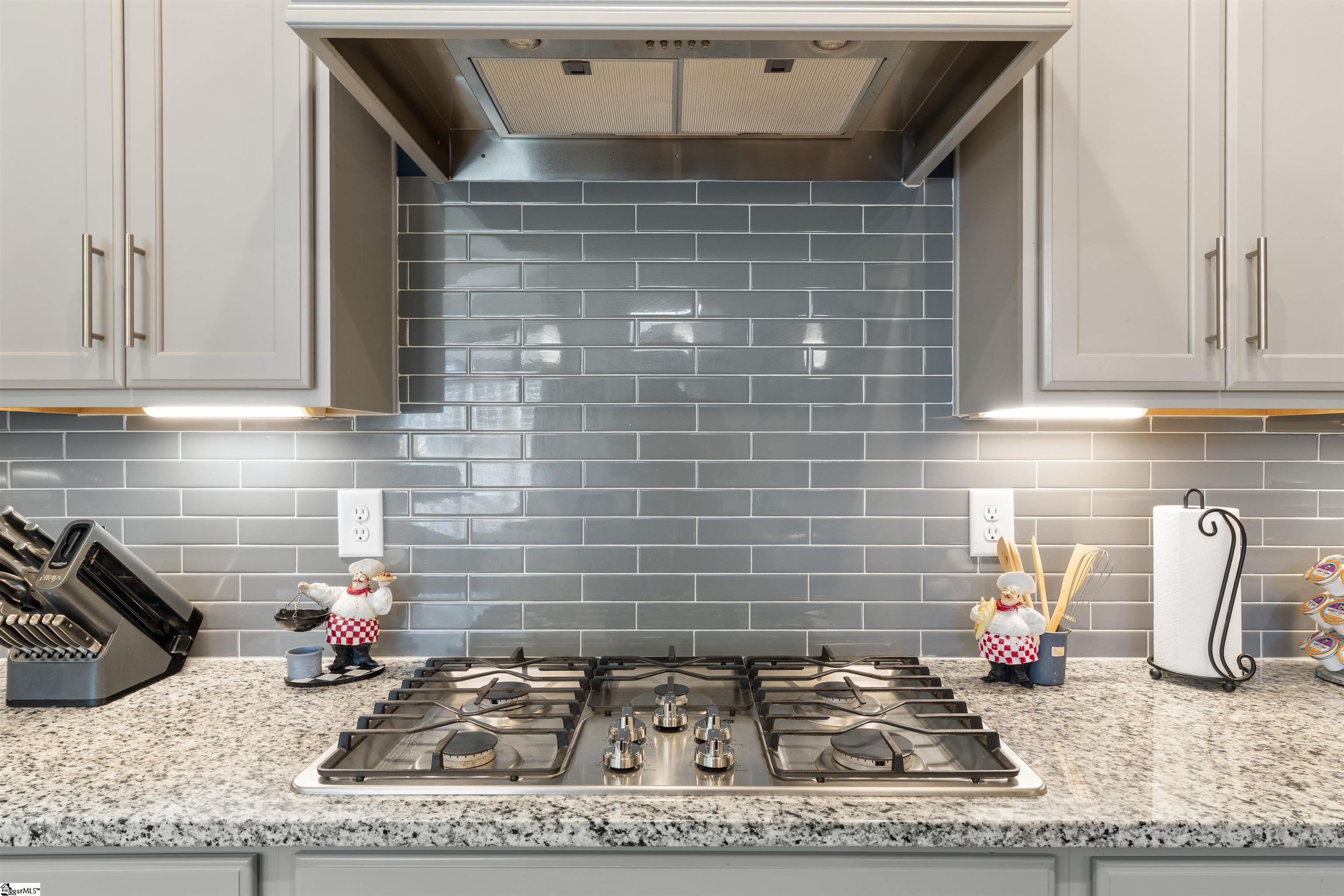 548 Lifescape Lane Greer, SC 29650 - Photo 11 of 36