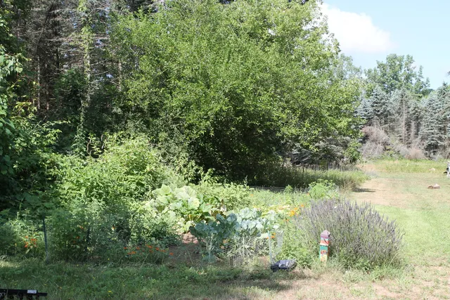 $240,000 | 2236 35th Street, Allegan, MI 49010