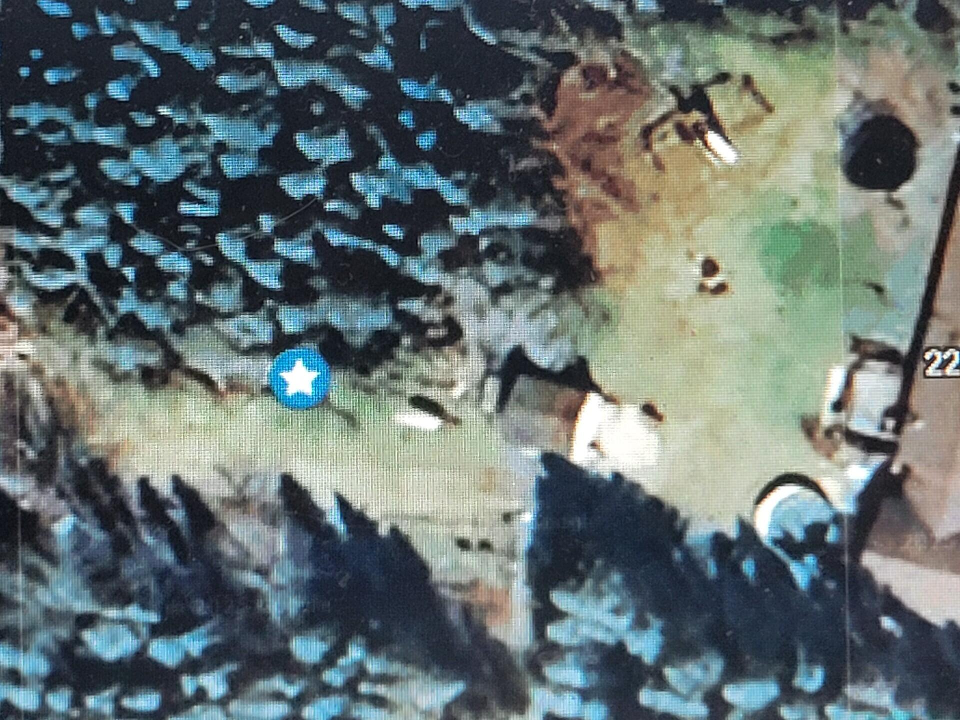 2236 35th Street Allegan, MI 49010 - Photo 34 of 35 over2