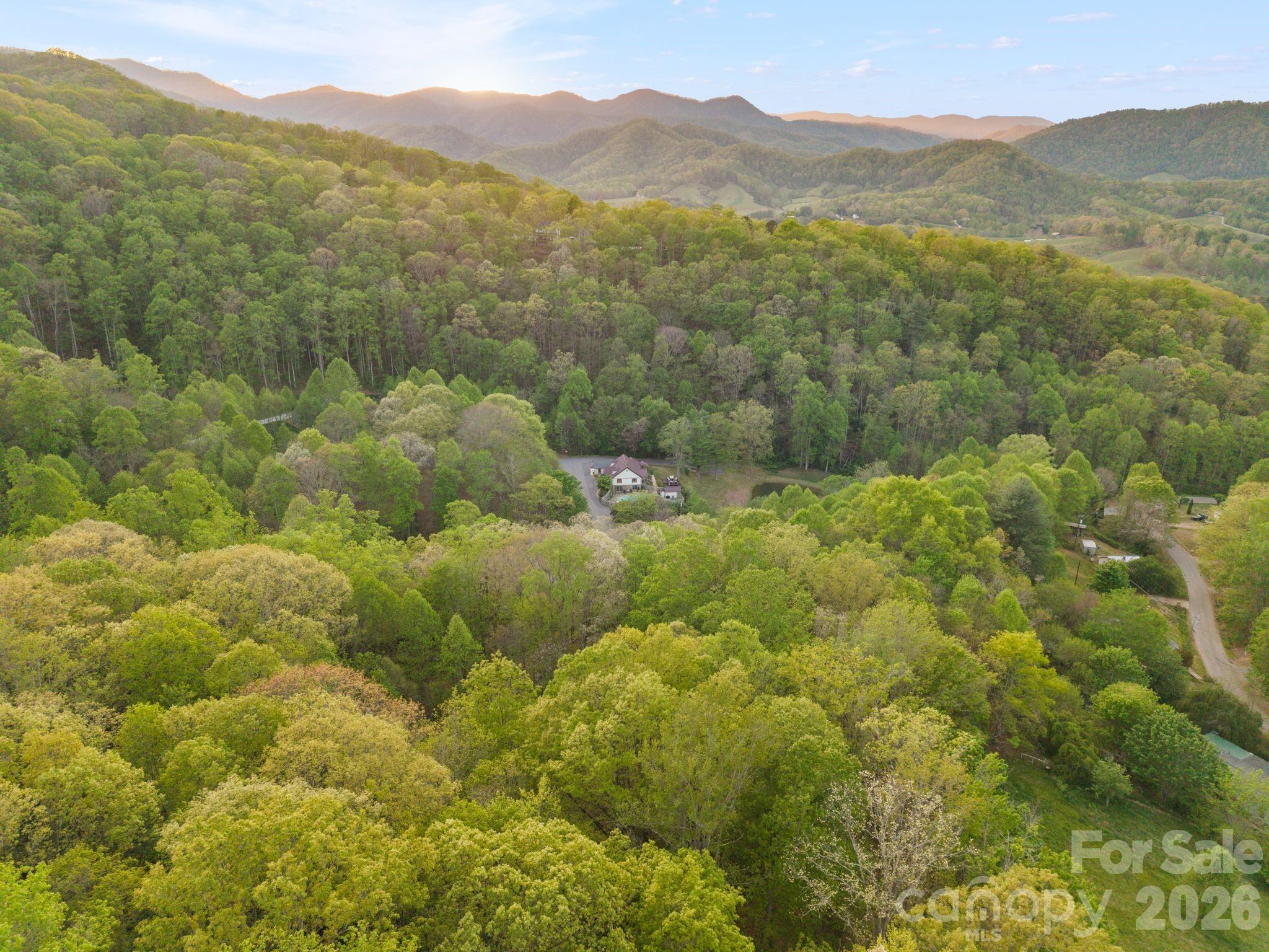 25 View Ridge Parkway Leicester, NC 28748 - Photo 5 of 38