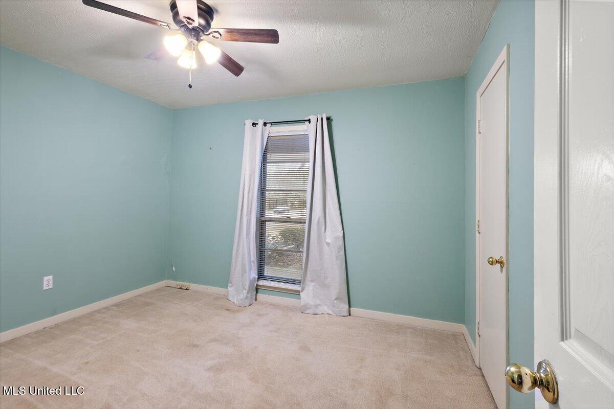 43 Stonegate Drive Brandon, MS 39042 - Photo 29 of 38 24-HTP_2076