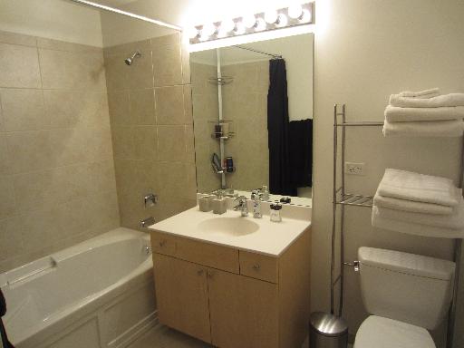 235 West Van Buren Street, Unit 3721 Chicago, IL 60607 - Photo 12 of 17 a bathroom with a sink toilet and shower
