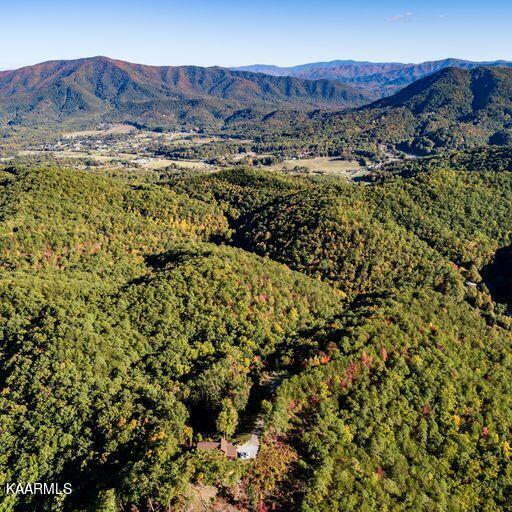 2791 Happy Hollow Road Sevierville, TN 37862 - Photo 26 of 31 31